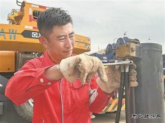 “高烤”模式下，躺平？不可能！
