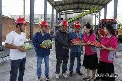 淮北双龙公司：炎炎夏日送清凉 暑消情长润人心