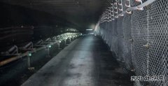 中能袁大滩矿业：砼路强基 “九全九双”铸就安全高效新标杆