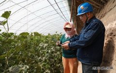 国网阿鲁科尔沁旗供电公司：不误农时不负春 电力服务助农户