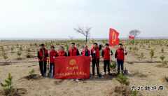 国网巴林右旗供电公司：春风执笔绘绿浪 铁锹为弦奏青章