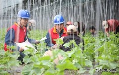 国网阿鲁科尔沁旗供电公司：电力赋能奏响乡村振兴“交响曲”